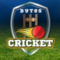 Logo saluran telegram cricketbyte — Cricket Bytes