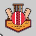 Logo saluran telegram cricketclub1234 — CRICKET CLUB (OFFICIAL)