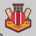 Telegram channel CRICKET CLUB (OFFICIAL) logo