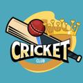 Логотип телеграм канала @cricketcrazyclub — CRICKET CRAZY CLUB