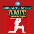 Logo saluran telegram cricketexpertamit — CRICKET EXPERT AMIT