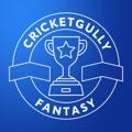 Logo saluran telegram cricketgullyfantasy — CricketGully Fantasy