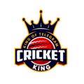Logo saluran telegram cricketking16 — CRICKET KING