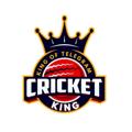 Telegram channel cricketking16 logo