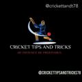 Logo saluran telegram crickettipsandtricks78 — CRICKET TIPS AND TRICKS™