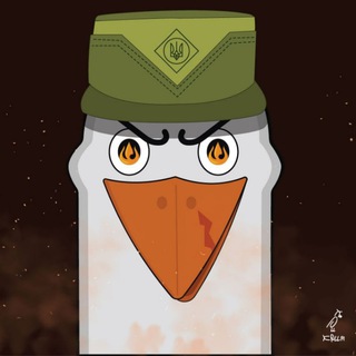 Логотип телеграм -каналу crimean_seagull_warrior — Кримські бойові чайки