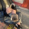 Логотип телеграм канала @criminalisting — Стражи Ишима