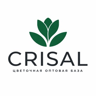 Логотип телеграм канала @crisal_opt — CRISAL | Цветы оптом | База | Москва