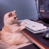 Логотип телеграм канала @crisis_giftaway — Розыгрыши на грани кризиса(MangaBuff)