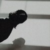 Логотип телеграм канала @critiqueofplasticreason — critique of plastic reason