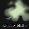 Логотип телеграм канала @critmouse_podcast — КритМышь | Александр Головин