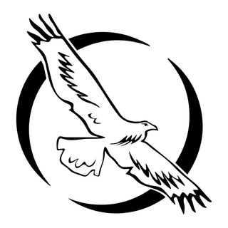 Логотип телеграм канала @crituk — Z кейс