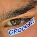 የቴሌግራም ቻናል አርማ crocad1l — CROCAD1L 🐊