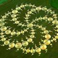 Logo of telegram channel cropcirclesuk — CROP CIRCLES