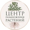 Логотип телеграм канала @crrtver — Питомник «Центр размножения растений»
