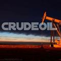 Logo saluran telegram crudeoil_crude_oil_mcx_tips99 — EASY CRUDE FUTURE & OPTION