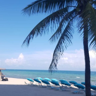 Логотип телеграм канала @cruiseinsiderru — Cruise - Insider