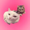 Логотип телеграм канала @crun4iha — Тополёк🌳