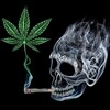 Логотип телеграм канала @crunkdopebeats — crunkdope beatstore
