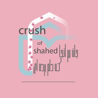 Logo saluran telegram crush_of_shahed — 🤍crush of shahed🤍