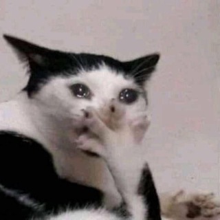 Telegram channel DEPRESSION MEMES 🥲 logo