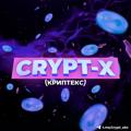 Logo saluran telegram crypt_eks — CRYPT-X 💎