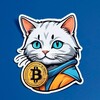 Логотип телеграм канала @cryptatapok — CryptoTapok | ТАПАЛКИ, АИРДРОПЫ, ЛИСТИНГ