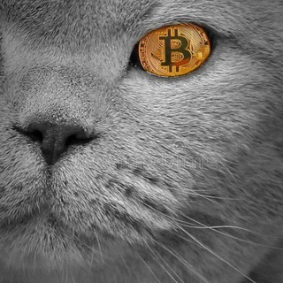 لوگوی کانال تلگرام crypto_cat_farsi — Crypto Cat Farsi 🐈
