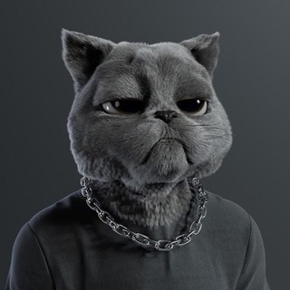 Логотип телеграм канала @crypto_euphoriya — CRYPTO ЭЙФОРИЯ