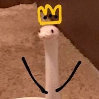 Логотип телеграм канала @crypto_kringe — крипто кринж