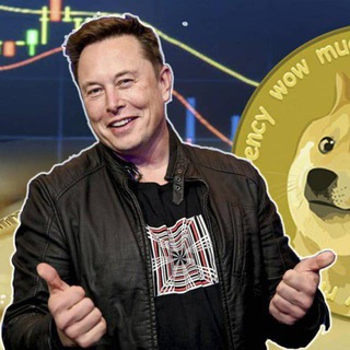 Telegram channel CRYPTO MUSK logo