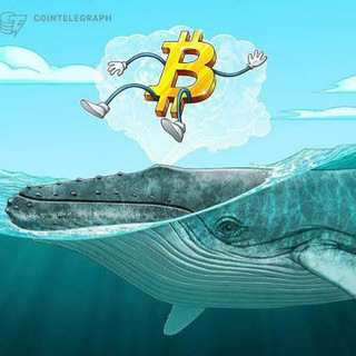 Telegram channel Crypto News logo