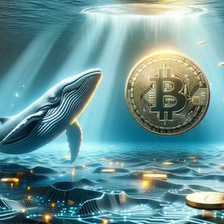 Logo of telegram channel crypto_nft_business — Crypto Focus 💰