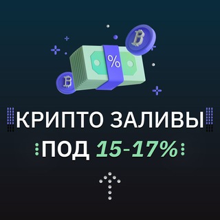 Логотип телеграм канала @crypto_transfering — Заливы под 15-17%