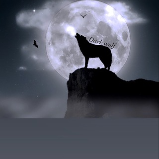 电报频道的标志 crypto_x_updatesgram — DARK 🌙WOLF☎️ CALL 看漲的