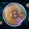 Logo of telegram channel crypto23953252 — Crypto