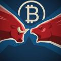 Telegram channel Crypto Bulls News🚀 logo