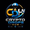 የቴሌግራም ቻናል አርማ crypto_drops_hub91 — Crypto Drops Hub 🚀