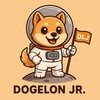 Logo of telegram channel crypto_evolution_123 — Dogelon Jr. Official