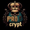 Логотип телеграм канала @crypto_lydochka — PRO КРИПТу