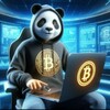 Logo of telegram channel crypto_panda7 — Crypto Panda 🐼