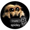 Logo saluran telegram crypto_spidey — crypto spidey trending