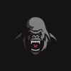Logo of telegram channel crypto_whhale — Gorillas Team📈