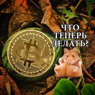 Логотип телеграм -каналу cryptoabuse88 — CryptoArbuz 🍉