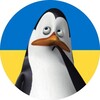 Logo of telegram channel cryptoapppenguin — CRYPTOAPP