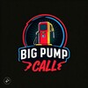 Logo of telegram channel cryptobigpumpcalls — Big PumpCalls 🐋🦄