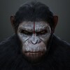 Логотип телеграм канала @cryptoceaser — Anonym Chat