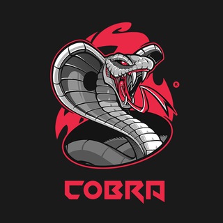 Логотип телеграм канала @cryptocobrabro — Crypto Cobra