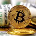لوگوی کانال تلگرام cryptocurrencytechnical — CRYPTO