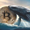 Логотип телеграм канала @cryptodeyatel22 — Обучение /Новости криптовалюты/Арбитраж/трейдинг.